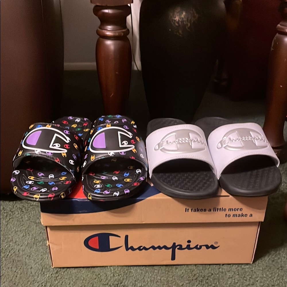 Champion Slides set - Picture 1 of 11